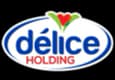 delice logo delice logo